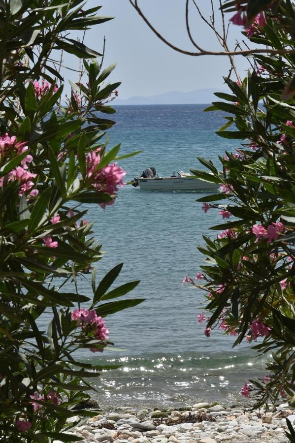 Seaside home in Kardiani/Giannaki bay - Agnes's Home Bagian luar foto
